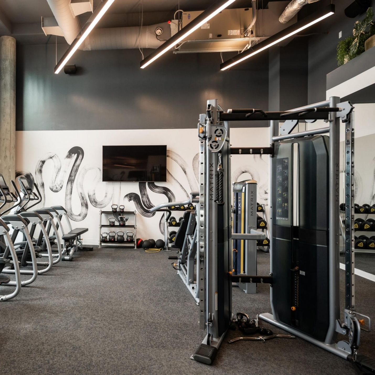 Six11 Student Living Apartments A modern gym space featuring a row of Matrix stair climbers and a functional training rack.