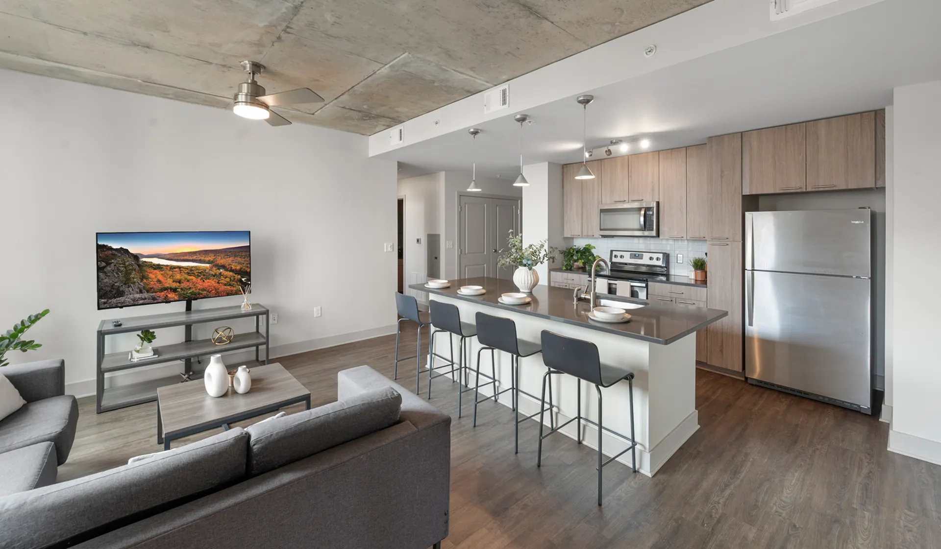 Modern kitchen and living room design